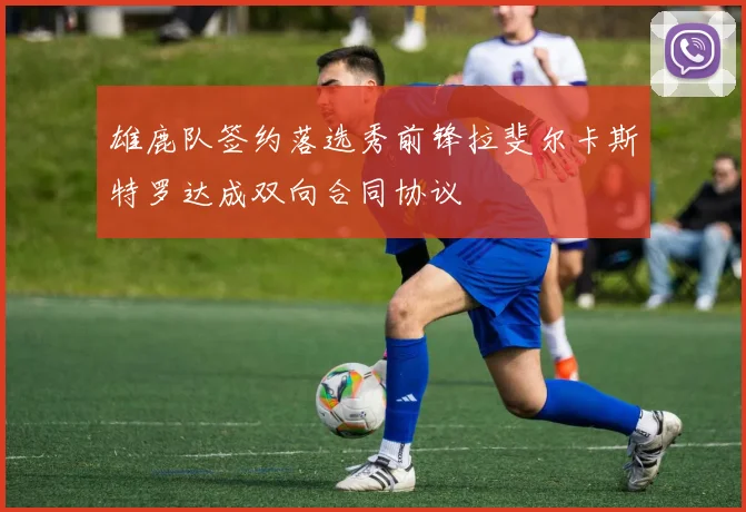 雄鹿队签约落选秀前锋拉斐尔卡斯特罗达成双向合同协议